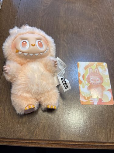 BIG INTO ENERGY - LABUBU photo review